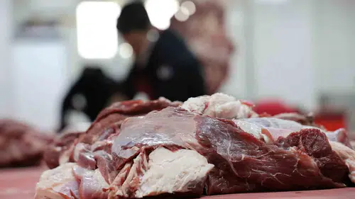 Kurban etini hemen dolaba koymak lezzeti öldürüyor