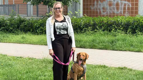 Almanya’da köpek beslemek ağır sorumluluk ve yüksek maliyet demek
