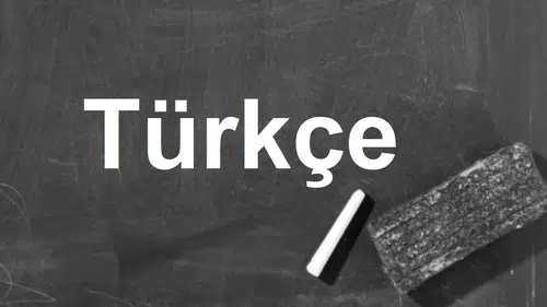 Uzakların gizli kardeşi: Türkçenin matematiksel ikizi keşfedildi