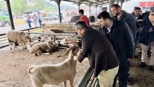 Karabük’te kurban pazarı hareketlendi