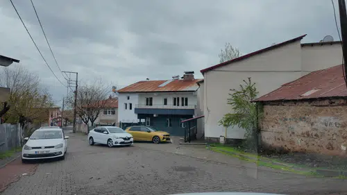 Bingöllü gönüllüler kiraladıkları evde sokak kedilerine yuva oldu