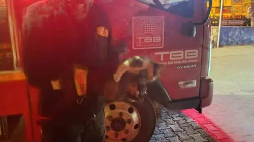Besni'de otomobilin motoruna sıkışan kedi kurtarıldı
