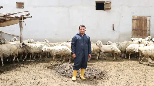 Hastalığını hayvanlarla yendi köyüne dönüp kendi işinin patronu oldu
