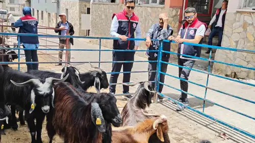 Bozdoğan’da kurban pazarları bayram öncesi mercek altına alındı