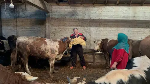 Kurban pazarında ortaklı kesim dönemi