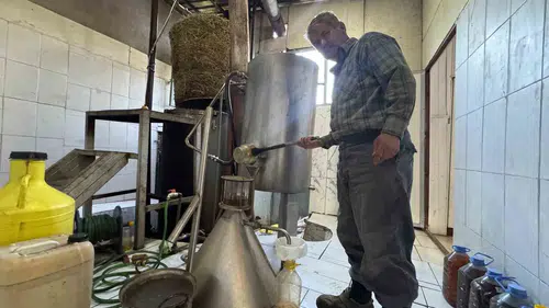 Toroslar’ın şifası 31 farklı bitkisel yağla dünyaya yayılıyor