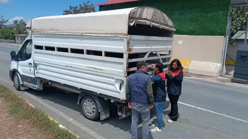 Elazığ yollarında kurbanlık sevkiyatına veteriner kontrolü