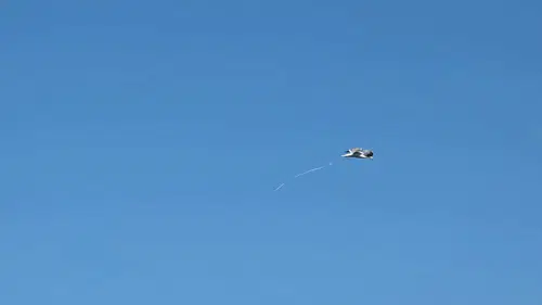 Van Gölü kıyısında martının çaresizliği çevre kirliliğini yeniden gündeme getirdi