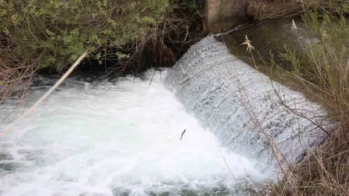 Hazar Gölü’nde doğanın en zorlu yolculuğu başladı