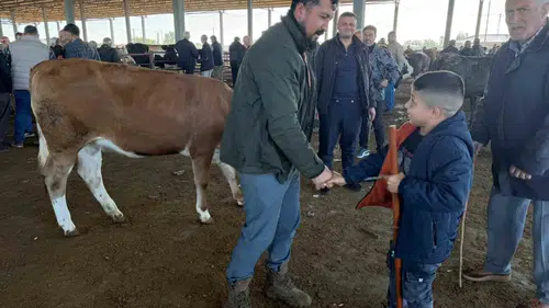 Iğdır pazarında kurban arayışı Bütçeler küçükbaşa döndü