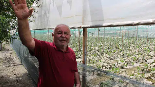 Amasya'da sel vurdu çiftçi umudunu kaybetmedi