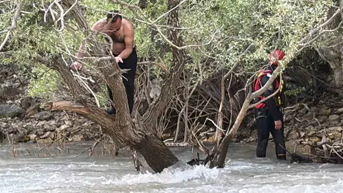 Tunceli’de çay suları yükselince bir kişi ağaçta mahsur kaldı