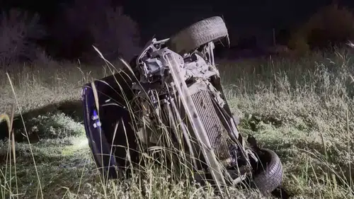 Elazığ yolunda domuza çarpan araç şarampole yuvarlandı