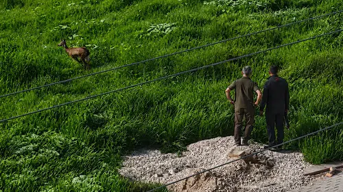 Kırşehir merkezinde şaşırtan ziyaretçi