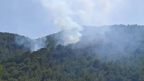 Fethiye ormanlarında korkutan yangın kısa sürede söndürüldü