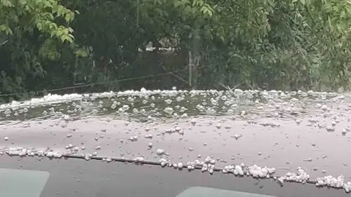 Bingöl yükseklerinde aniden bastıran dolu tarlaları vurdu