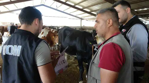 Adıyaman kurban pazarında dolandırıcılık alarmı