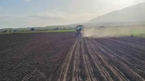 Adilcevaz çiftçisi tarlaya indi şeker pancarı sezonu açıldı