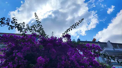 Adana için sağanak alarmı verildi