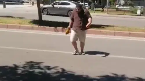 Antalya sokaklarında karga dehşeti