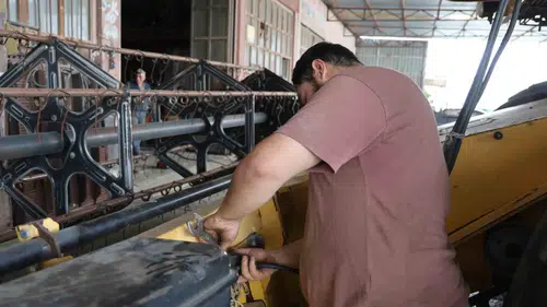 Çukurova’da buğday hasadı için geri sayım başladı