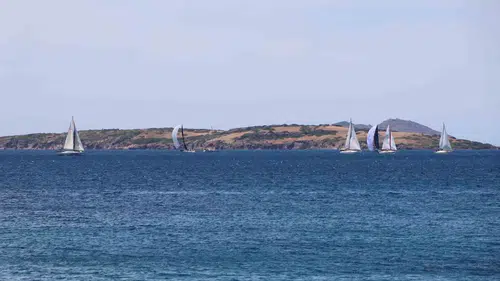 Yelkenler 19 Mayıs için Bodrum açıklarında rüzgara karşı açıldı