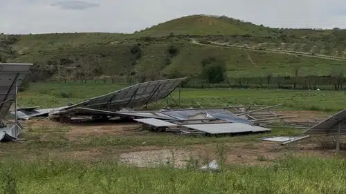 Gaziantep çiftçisi afetle sarsıldı destek bekliyor