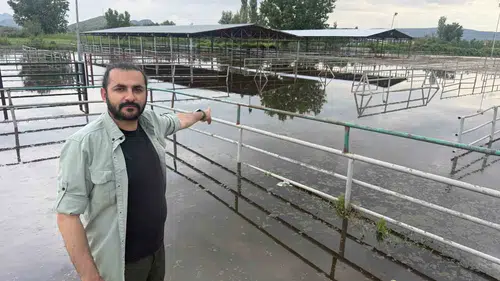 Tokat Turhal’da Yeşilırmak taştı hayvan pazarı sulara gömüldü