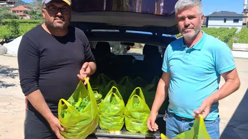 Manisalı üreticinin biberi sınırları aşıp Almanya yoluna çıktı