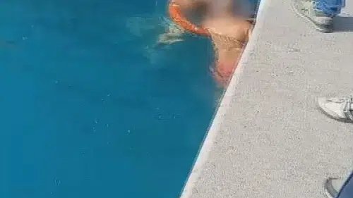 Emirgan sahilinde korkutan anlar