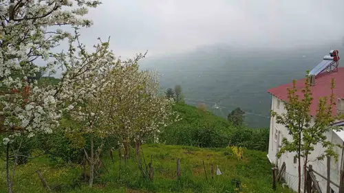 Sakarya’nın yükseklerinde bahar sisle buluştu