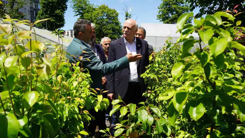 Çiftçinin beli afetlerle büküldü Üretim için acil destek şart