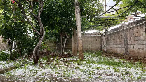 Nusaybin sokakları bir anda beyaza büründü