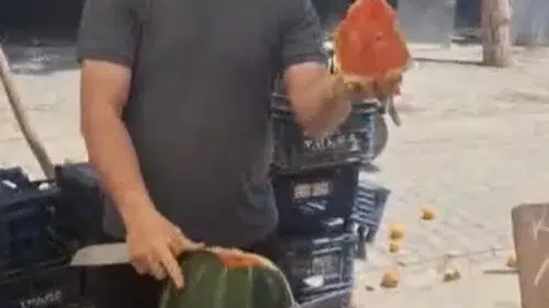 Osmaniye pazarında vekaletli karpuz dönemi