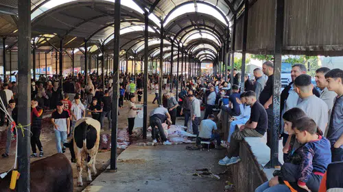 Şanlıurfa kurban telaşıyla güne başladı