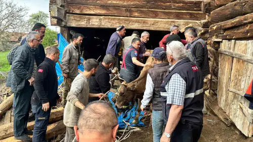 Kastamonu'da ahır çöktü Bir kişi yaralı kurtarıldı