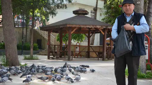 Bayramda herkes tatile gitti o güvercinlerin başına koştu