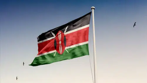 Kenya'da yatılı kız okulunda gece yarısı yangın faciası
