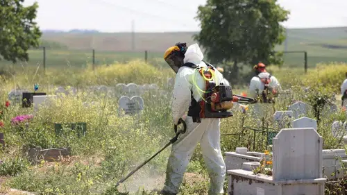Tekirdağ'da mezarlıklar bayram ziyaretine hazırlanıyor