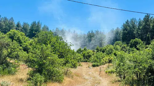 Muğla Menteşe ormanlarında çıkan yangın büyümeden söndürüldü
