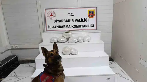 Diyarbakır jandarmasından zehir tacirlerine geniş çaplı darbe