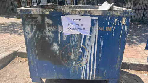 Buca çöp konteynerinde 33 ölü kedi bulundu