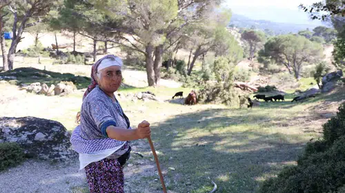 Beşparmak Dağları artık çobanlarını bekliyor