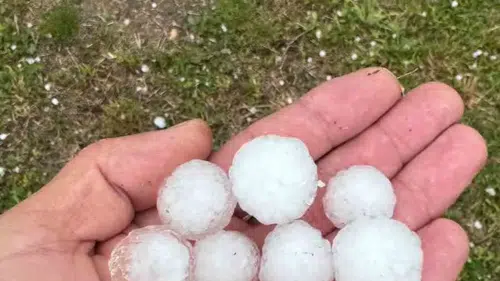 Sivas'ta dolu yağışı bahçeleri vurdu