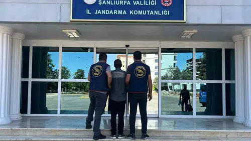 Şanlıurfa'da aranan dolandırıcı jandarma operasyonuyla yakalandı