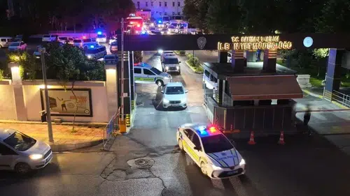 17 ildeki sanal kumar şebekesine dev operasyon