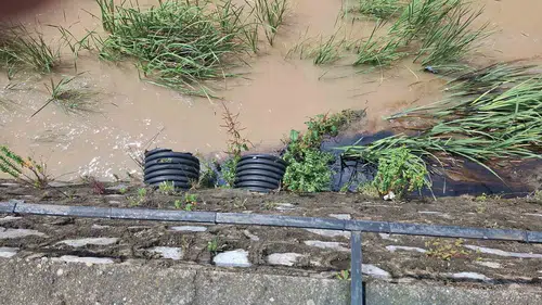 Kastamonu’da dereye karışan kimyasal atık denizi siyaha boyadı