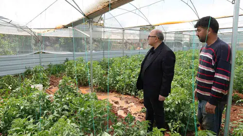 Mersin Erdemli'de dolu yağışı tarlaları vurdu