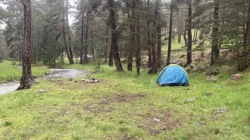 Bolu'da piknik yapan ailenin üzerine yıldırım düştü