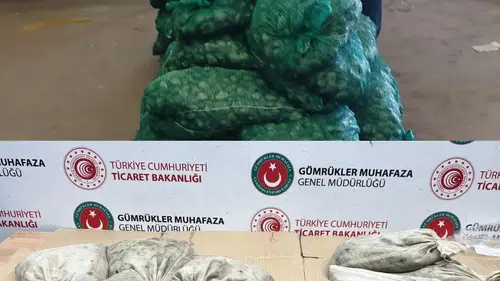 Kapıkule'de kaçak midye operasyonu